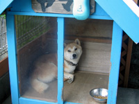 060801a.jpg