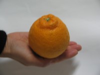 06020601.JPG